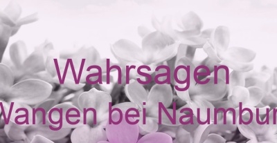 Wahrsagen Wangen bei Naumburg | Top-Experten für Kartenlegen, Wahrsagen, Hellsehen, Zukunftsdeutung. Wahrsagen Wangen bei Naumburg | Top-Experten für Kartenlegen, Wahrsagen, Hellsehen, Zukunftsdeutung.